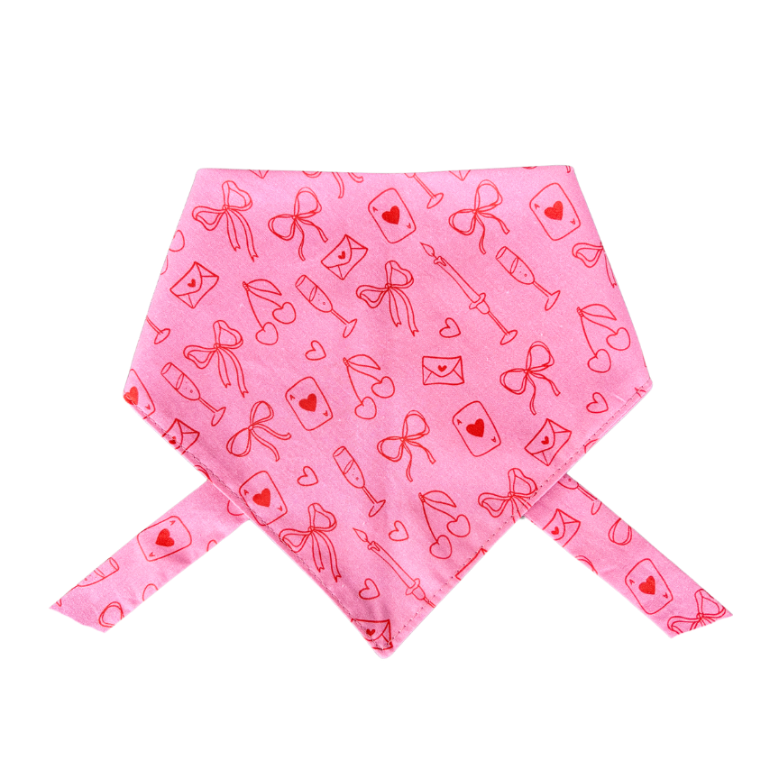 Date Night Dog Bandana