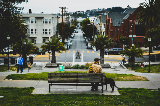 Dog parks in San Francisco