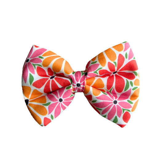 Bloom Boom Dog Collar Bow Tie