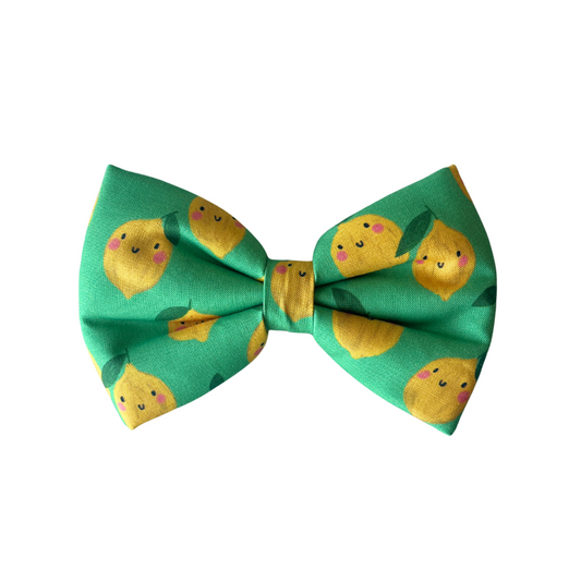 Limoncello Dog Collar Bow Tie