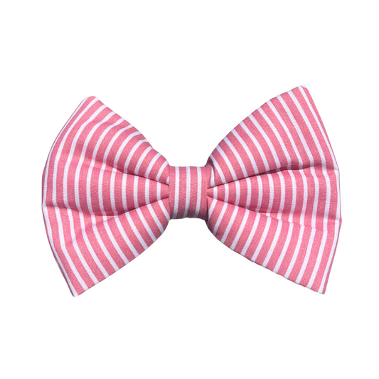 Saint Tropez Dog Collar Bow Tie