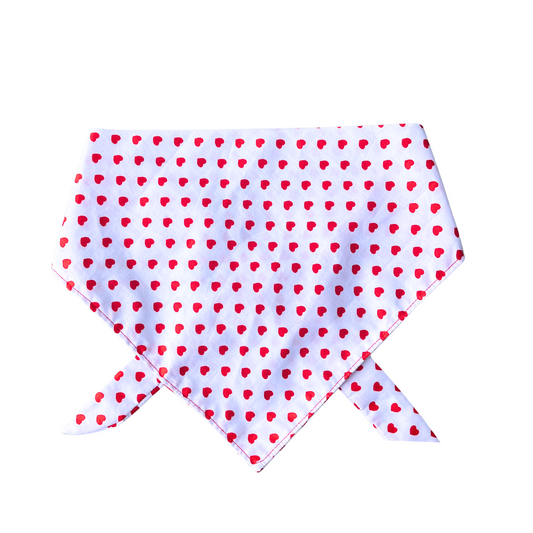 Birdie Dog Bandana