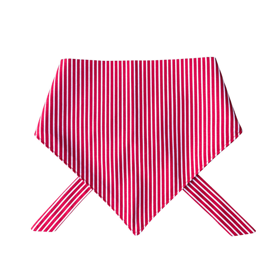 Nantucket Dog Bandana