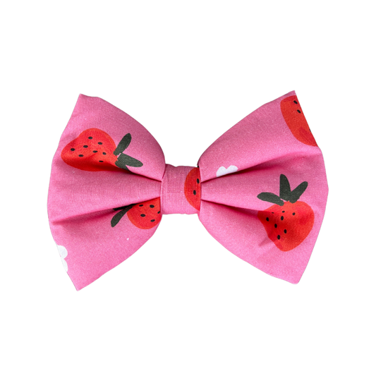 Berry Babe Dog Collar Bow Tie