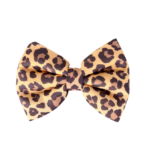 Cool Cat Dog Collar Bow Tie