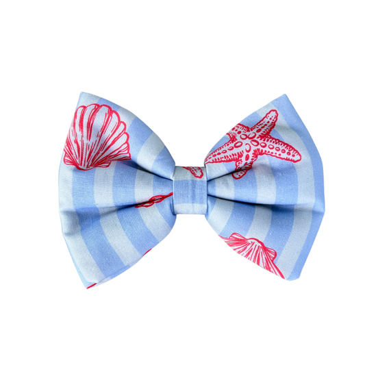 Little Shells Dog Collar Bow tie