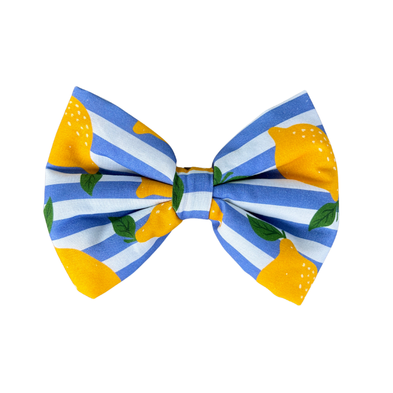 Amalfi Dog Collar Bow Tie