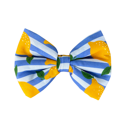 Amalfi Dog Collar Bow Tie