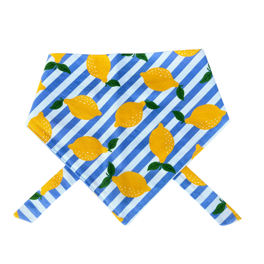 Amalfi Dog Bandana