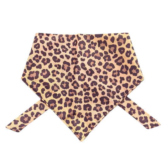 Cool Cat Dog Bandana