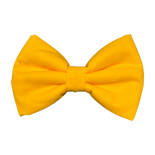 Vibrant Bright Yellow Dog Collar Bow Tie