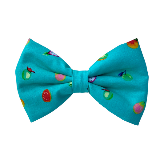 Turquoise Dog Collar Bow Tie with Cute Fruits