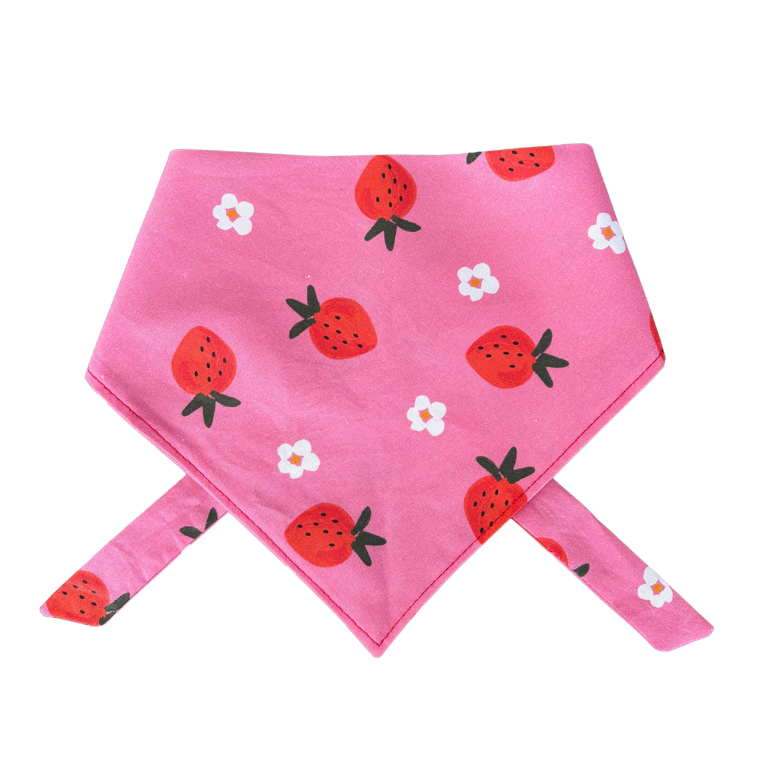 Berry Babe Dog Bandana