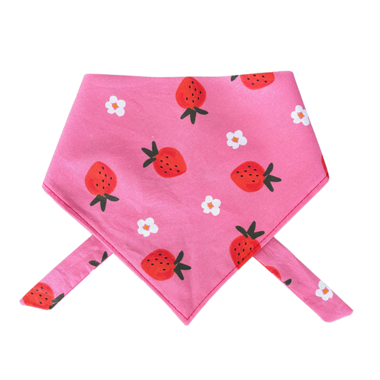 Berry Babe Dog Bandana