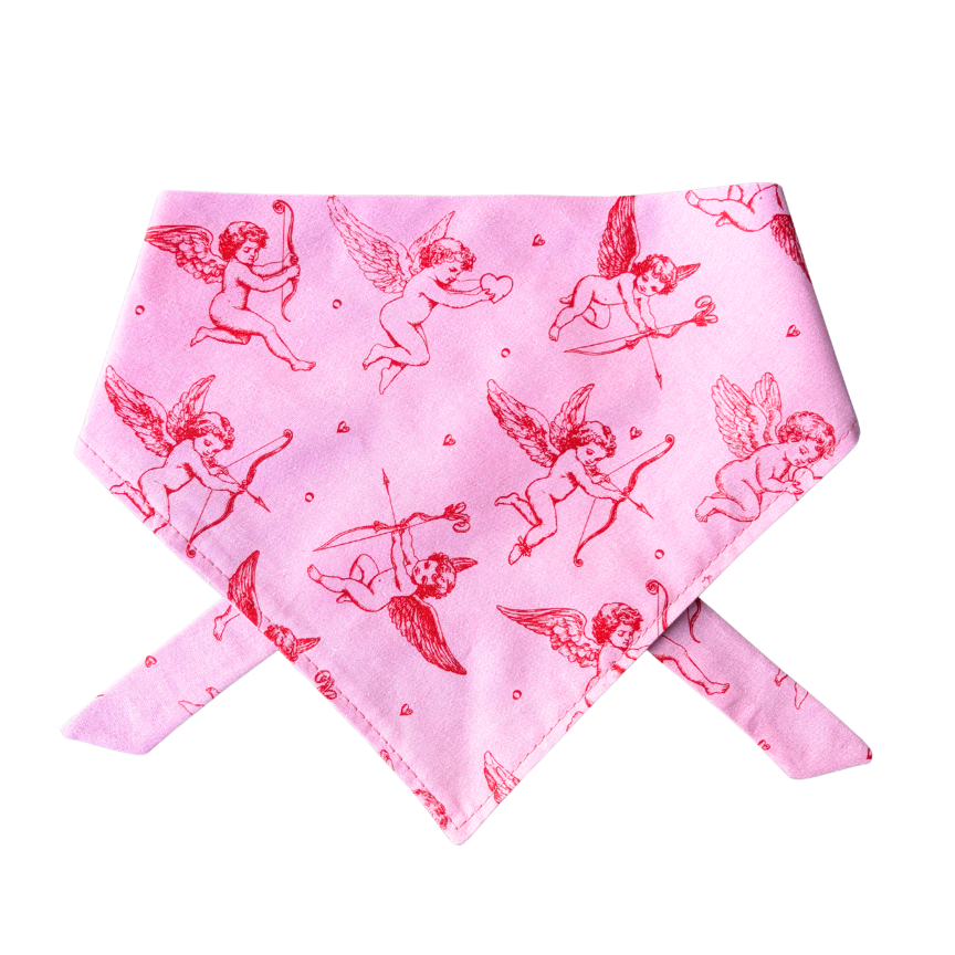 Amore Dog Bandana