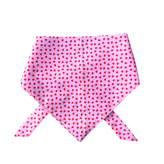 Gigi Dog Bandana