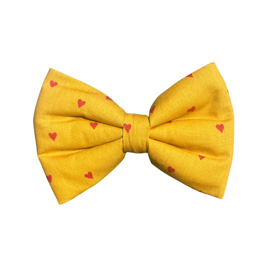 Jules Dog Collar Bow Tie
